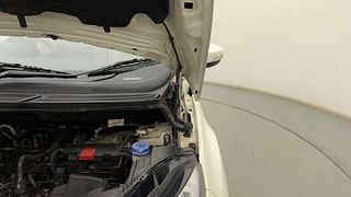 Used 2019 Ford EcoSport [2017-2021] Titanium + 1.5L Ti-VCT Petrol Manual engine ENGINE LEFT SIDE HINGE & APRON VIEW