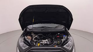 Used 2020 Ford EcoSport [2020-2021] Sports Diesel Diesel Manual engine ENGINE & BONNET OPEN FRONT VIEW