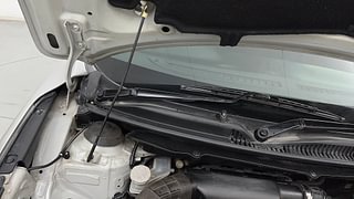 Used 2016 Maruti Suzuki Baleno [2015-2019] Zeta Petrol Petrol Manual engine ENGINE RIGHT SIDE HINGE & APRON VIEW