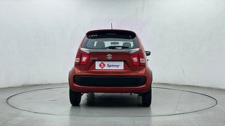 Used 2017 Maruti Suzuki Ignis [2017-2020] Alpha MT Petrol Petrol Manual exterior BACK VIEW