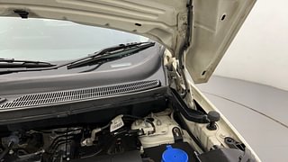 Used 2018 Ford EcoSport [2017-2021] Titanium + 1.5L TDCi Diesel Manual engine ENGINE LEFT SIDE HINGE & APRON VIEW