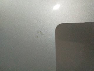Used 2011 Maruti Suzuki Swift [2011-2017] VXi Petrol Manual dents MINOR SCRATCH