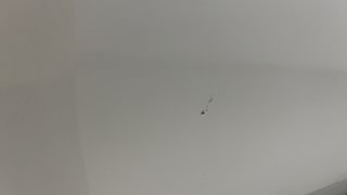 Used 2018 Maruti Suzuki Baleno [2015-2019] Zeta AT Petrol Petrol Automatic dents MINOR SCRATCH