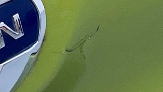 Used 2018 Datsun Redi-GO [2015-2019] T(O) 1.0 AMT Petrol Automatic dents MINOR DENT