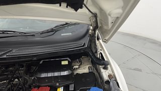 Used 2017 Ford EcoSport [2015-2017] Titanium 1.5L Ti-VCT AT Petrol Automatic engine ENGINE LEFT SIDE HINGE & APRON VIEW