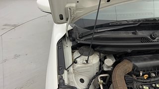 Used 2018 Maruti Suzuki Baleno [2015-2019] Alpha Petrol Petrol Manual engine ENGINE RIGHT SIDE HINGE & APRON VIEW