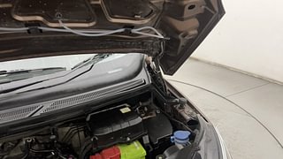 Used 2016 Ford EcoSport [2015-2017] Trend 1.5L TDCi Diesel Manual engine ENGINE LEFT SIDE HINGE & APRON VIEW