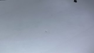 Used 2021 maruti-suzuki S-Presso VXI Plus AMT Petrol Automatic dents MINOR DENT
