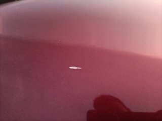 Used 2016 Maruti Suzuki Swift Dzire VXI AT Petrol Automatic dents MINOR SCRATCH