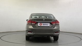 Used 2019 Maruti Suzuki Ciaz Alpha Petrol Petrol Manual exterior BACK VIEW