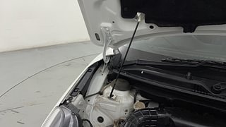 Used 2019 Maruti Suzuki Baleno [2019-2022] Delta Petrol Petrol Manual engine ENGINE RIGHT SIDE HINGE & APRON VIEW