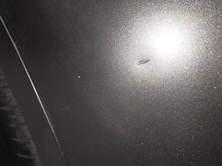Used 2021 Maruti Suzuki Swift ZXI Petrol Manual dents MINOR DENT