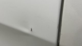 Used 2021 Tata Tiago XZA+ AMT Petrol Automatic dents MINOR SCRATCH