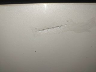 Used 2014 Maruti Suzuki Swift [2014-2017] VDi (O) Diesel Manual dents MINOR DENT