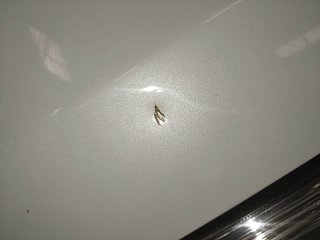Used 2014 Maruti Suzuki Swift [2014-2017] VDi (O) Diesel Manual dents MINOR DENT