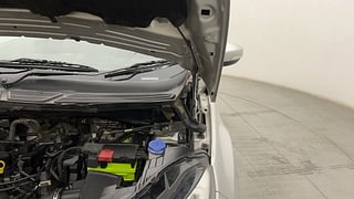 Used 2018 Ford EcoSport [2017-2020] Titanium + 1.5L Ti-VCT AT Petrol Automatic engine ENGINE LEFT SIDE HINGE & APRON VIEW