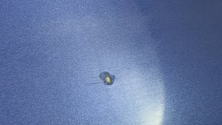 Used 2016 Maruti Suzuki Baleno [2015-2019] Delta Petrol Petrol Manual dents MINOR SCRATCH