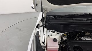 Used 2021 Kia Seltos HTK Plus D Diesel Manual engine ENGINE RIGHT SIDE HINGE & APRON VIEW