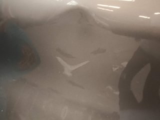 Used 2018 Datsun Redi-GO [2015-2019] T(O) 1.0 AMT Petrol Automatic dents MINOR DENT