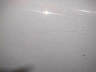 Used 2016 Toyota Etios [2010-2017] VD Diesel Manual dents MINOR SCRATCH