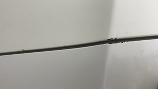 Used 2019 Maruti Suzuki Celerio ZXI AMT Petrol Automatic dents MINOR SCRATCH