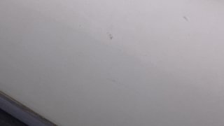 Used 2019 Maruti Suzuki Alto K10 [2014-2019] VXi Petrol Manual dents MINOR SCRATCH