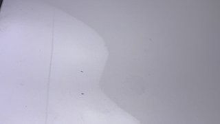 Used 2019 Maruti Suzuki Alto K10 [2014-2019] VXi Petrol Manual dents MINOR SCRATCH