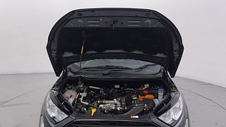 Used 2019 Ford EcoSport [2017-2021] Ambiente 1.5L TDCi Diesel Manual engine ENGINE & BONNET OPEN FRONT VIEW