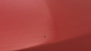 Used 2019 Tata Tiago [2016-2020] Revotorq XZ Diesel Manual dents MINOR SCRATCH