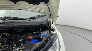 Used 2021 Ford EcoSport [2020-2021] Titanium + 1.5L Ti-VCT AT Petrol Automatic engine ENGINE LEFT SIDE HINGE & APRON VIEW