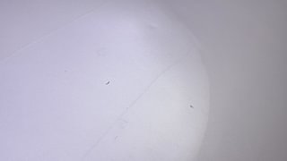 Used 2014 Maruti Suzuki Celerio VXI AMT Petrol Automatic dents MINOR SCRATCH