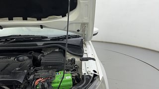 Used 2017 Skoda Rapid new [2016-2020] Active TDI Diesel Manual engine ENGINE LEFT SIDE HINGE & APRON VIEW