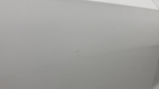 Used 2017 Skoda Rapid new [2016-2020] Active TDI Diesel Manual dents MINOR SCRATCH