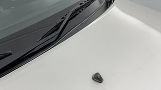 Used 2020 Maruti Suzuki Ignis [2017-2020] Zeta AMT Petrol Petrol Automatic dents MINOR DENT