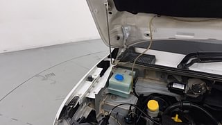 Used 2017 Renault Kwid [2015-2019] 1.0 RXL AMT Petrol Automatic engine ENGINE RIGHT SIDE HINGE & APRON VIEW