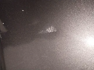 Used 2017 Maruti Suzuki Swift [2014-2017] VXI (O) Petrol Manual dents MINOR DENT