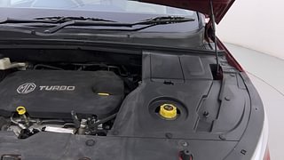 Used 2021 mg-motors Hector 2.0 Sharp Diesel Turbo Diesel Manual engine ENGINE LEFT SIDE HINGE & APRON VIEW