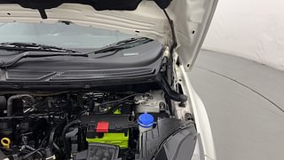 Used 2019 Ford EcoSport Titanium + 1.5L Ti-VCT AT Petrol Automatic engine ENGINE LEFT SIDE HINGE & APRON VIEW