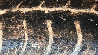 Used 2016 Maruti Suzuki Wagon R 1.0 [2010-2019] VXi Petrol Manual tyres LEFT REAR TYRE TREAD VIEW